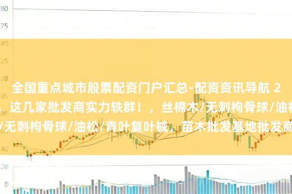 全国重点城市股票配资门户汇总-配资资讯导航 2025苗木批发基地精选，这几家批发商实力轶群！，丝棉木/无刺枸骨球/油松/青叶复叶槭，苗木批发基地批发商推选分析